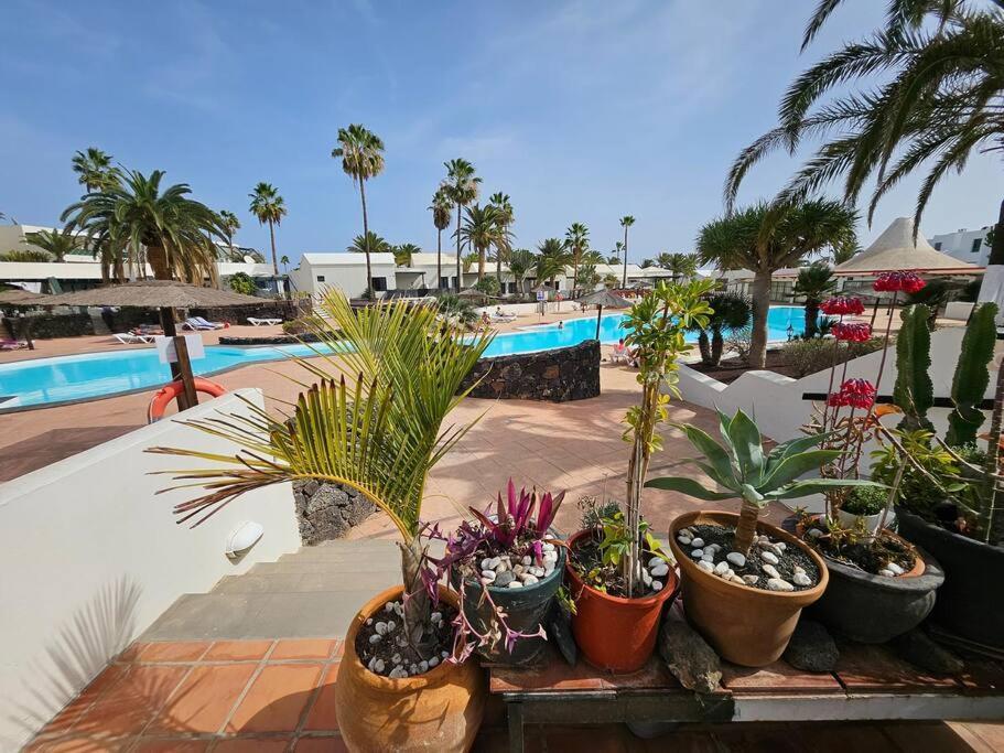 Apartamento Taisa Playa Roca Costa Teguise Exteriör bild